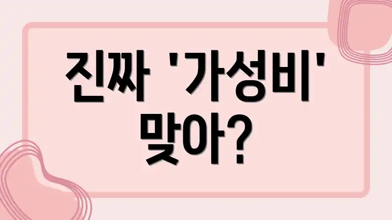 진짜 '가성비' 맞아?