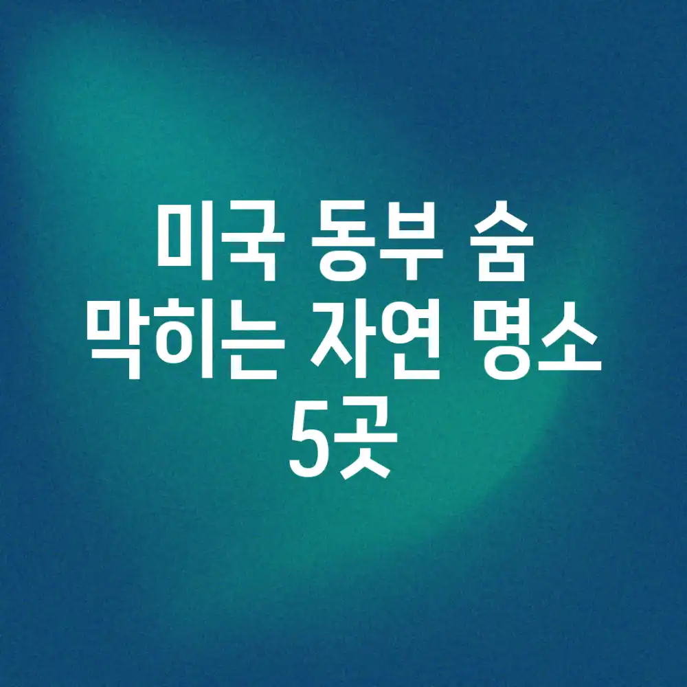 미국 동부: 숨 막히는 자연 명소 5곳