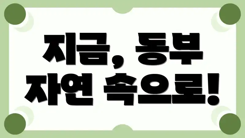 지금, 동부 자연 속으로!