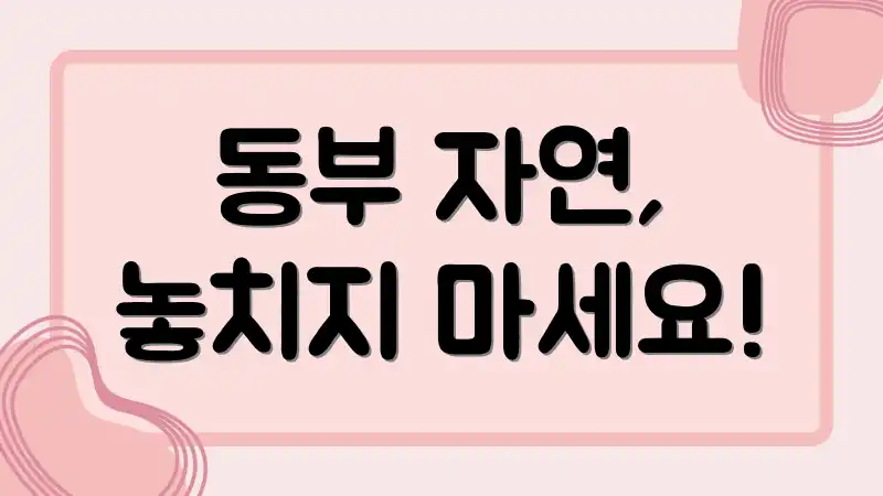 동부 자연, 놓치지 마세요!