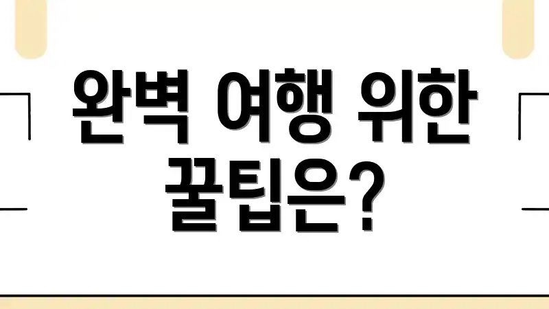 완벽 여행 위한 꿀팁은?