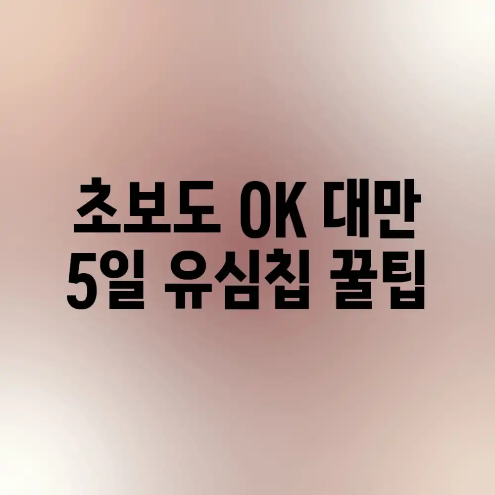 초보도 OK! 대만 5일, 유심칩 꿀팁