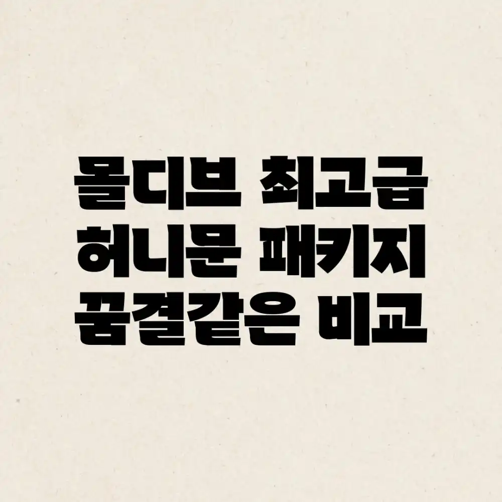 몰디브 최고급 허니문 패키지, 꿈결같은 비교!