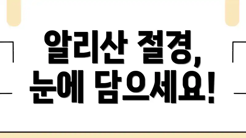 알리산 절경, 눈에 담으세요!