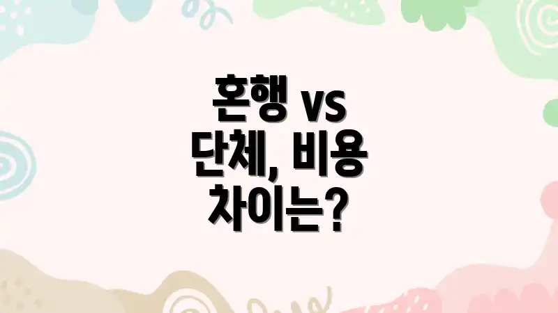 혼행 vs 단체, 비용 차이는?