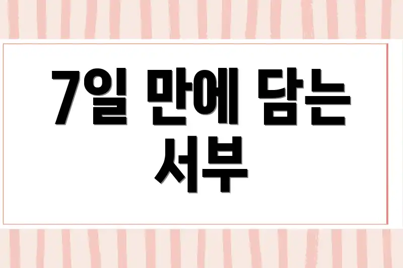 7일 만에 담는 서부