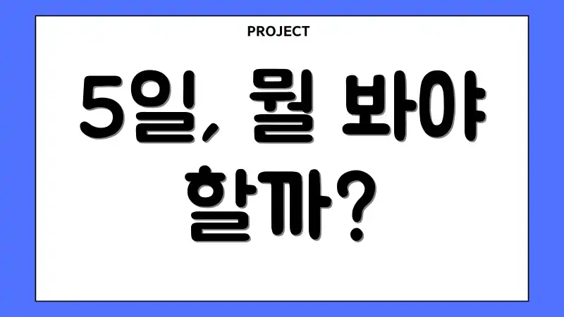 5일, 뭘 봐야 할까?