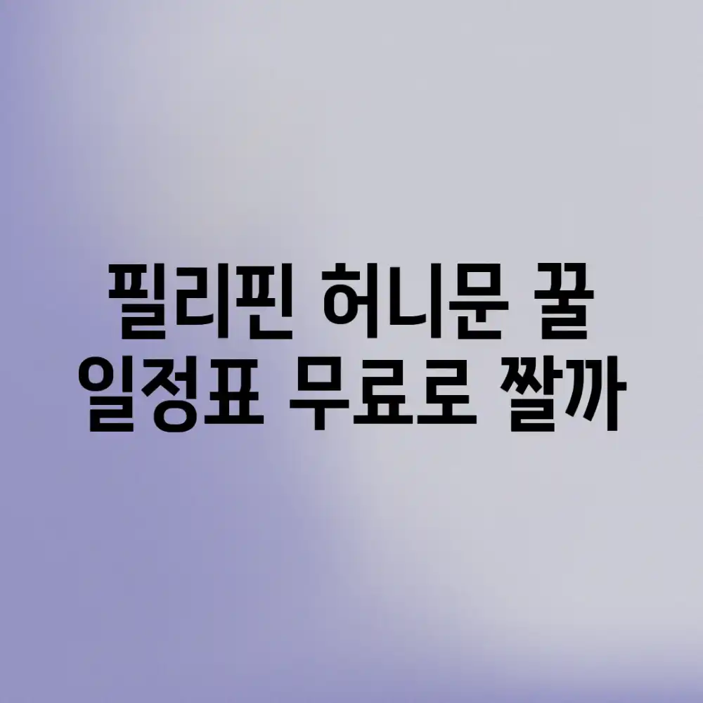 필리핀 허니문, 꿀 일정표 무료로 짤까?