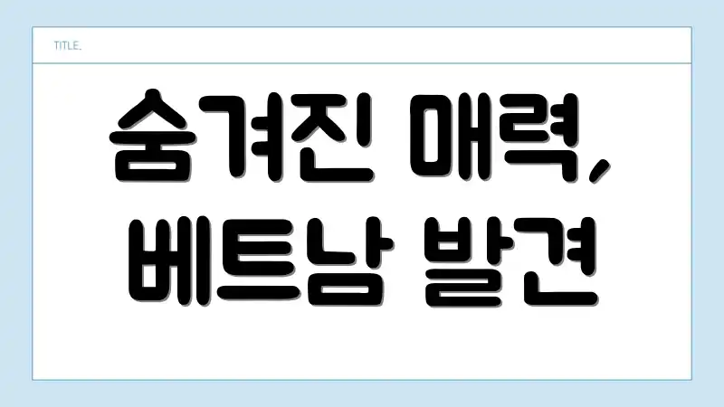 숨겨진 매력, 베트남 발견