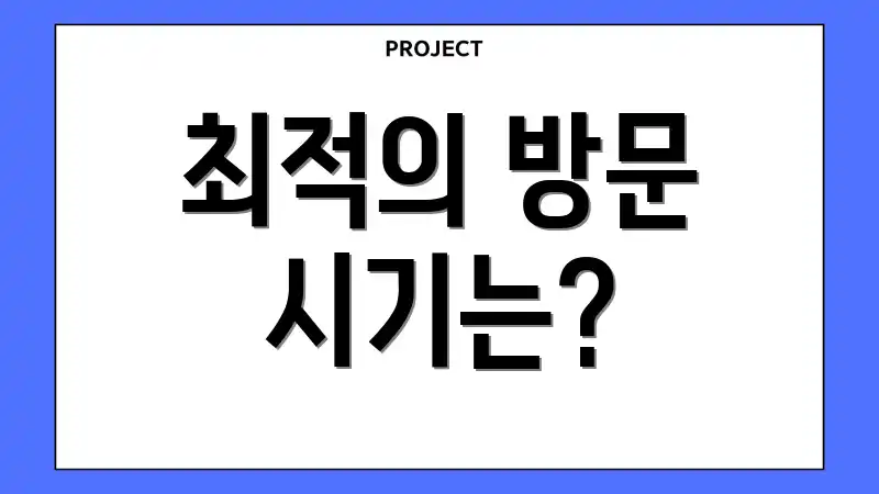 최적의 방문 시기는?