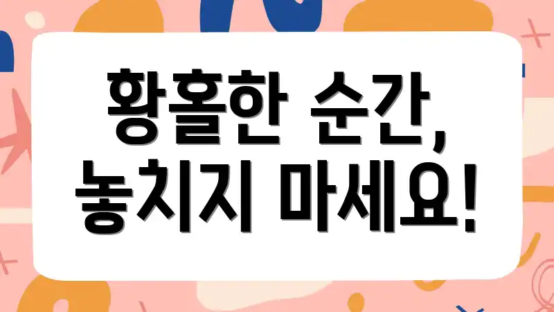 황홀한 순간, 놓치지 마세요!