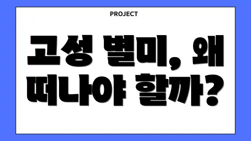 고성 별미, 왜 떠나야 할까?