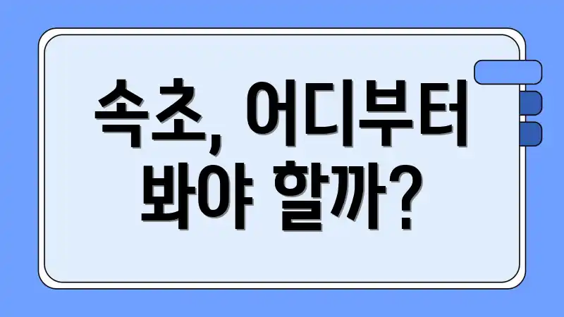 속초, 어디부터 봐야 할까?