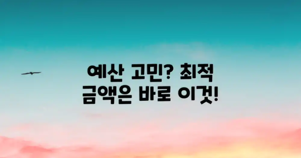 최적의 예산은 얼마?