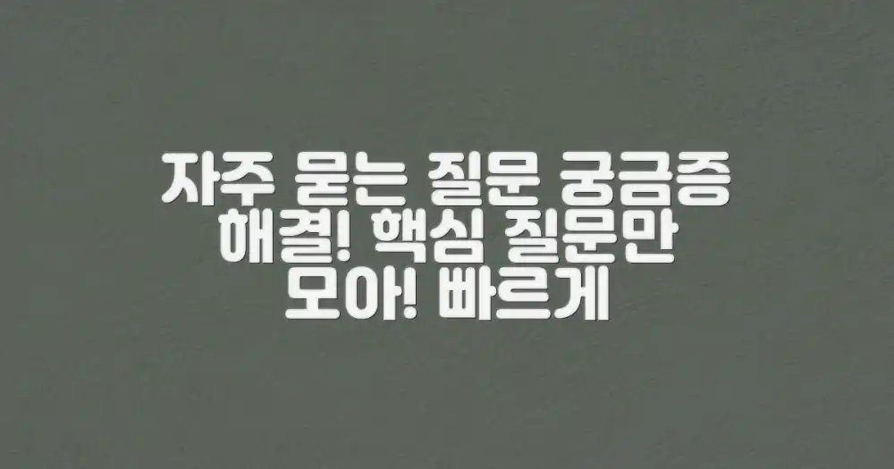 자주 묻는 질문